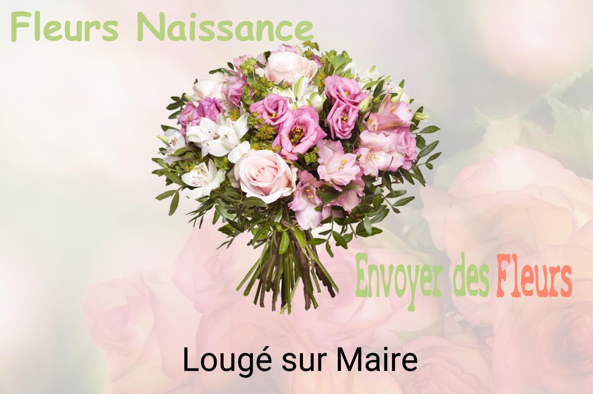Bouquet de fleurs de naissance livré à Lougé-sur-Maire
