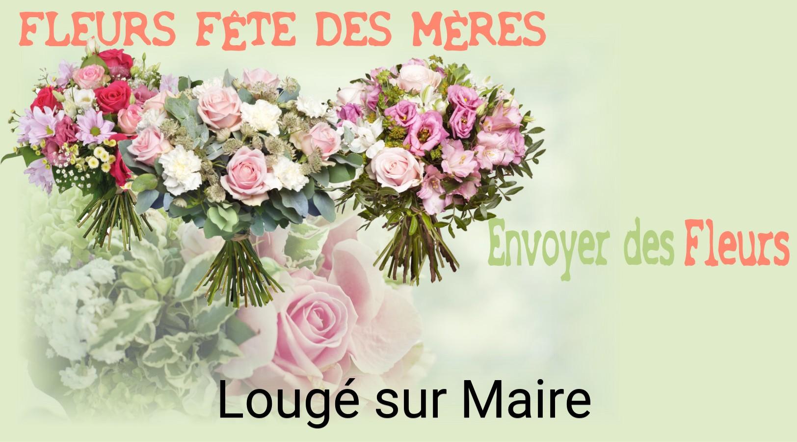 Bouquet de Fête des Mères livré à Lougé-sur-Maire
